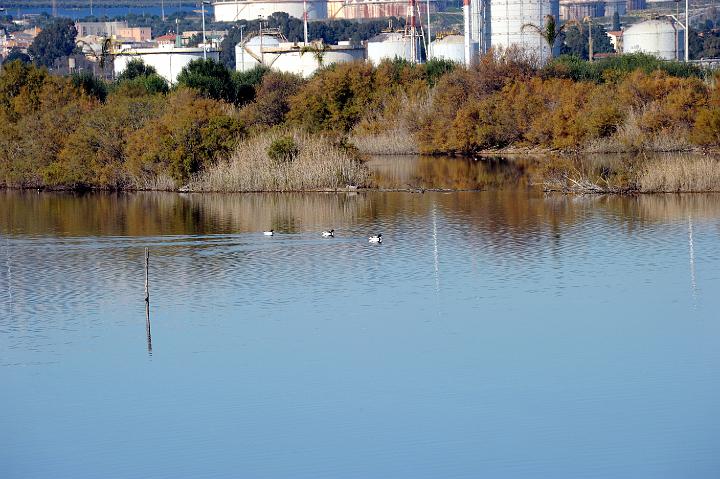 1Saline di Priolo 16.1.2011 (66).jpg